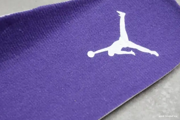 Court Air Jordan Purple 4 CT8527-115 0520